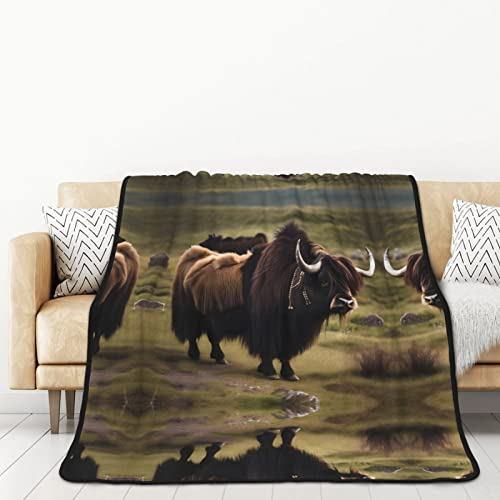 TORONG Doppelseitige Flanelldecke Mighty Highland Yak Überwurfdecke für Erwachsene für Auto, Bett, Nickerchen, warme bequeme Decke