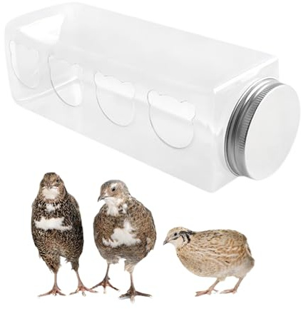 pour Poussins, Pigeons - 4 Ports - Distributeur Automatique de Nourriture pour Poulets sans Chaos - en Forme de Bouteille - pour cailles, perruches, basilics, pinsons,