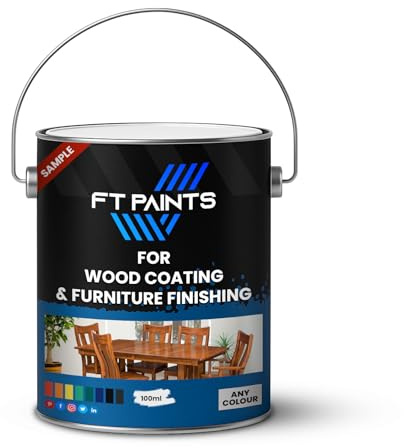 FabioT. FT Paints Sample 100ml Semi-Gloss Paint For Wood Coating & Furniture Finishing- RAL 9005-Jet Black
