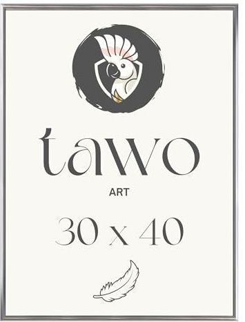 TAWO Bilderrahmen 30x40 Silber Fotowand Fotorahmen aus leichtem Kunststoff mit Glas Picture frame Poster