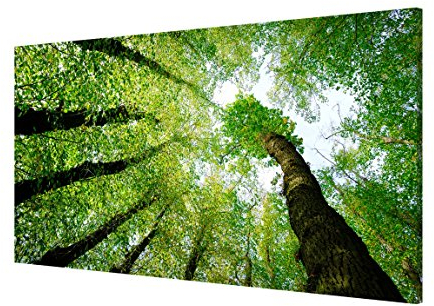 Magnettafel Bäume des Lebens Memoboard Design Quer Metall Magnet Pinnwand Motiv Wand Stahl Küche Büro, Größe HxB: 37cm x 78cm