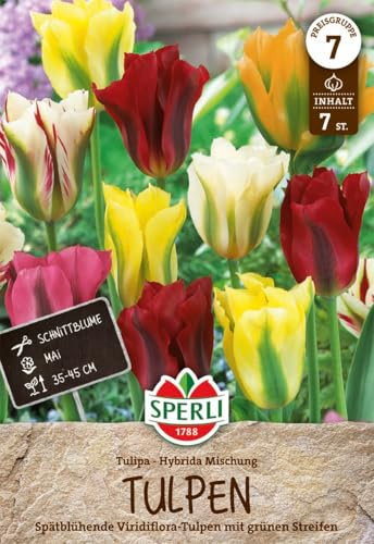 Sperli 454475 Tulpe Mischung (10 Stück) (Herbstblumenzwiebeln)