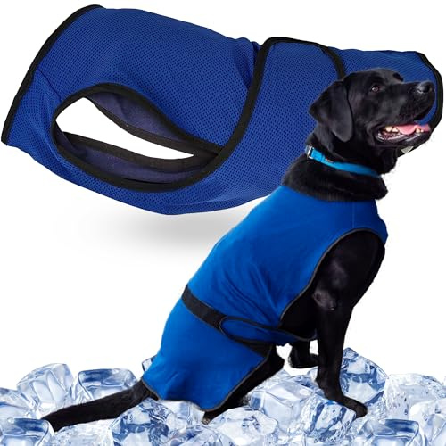 Hundemantel, Warnweste Hund & Hundekühlwesten – Leichte Jacke für Kleine Hunde, Reißverschluss, Für Spaziergänge & Draußen von Lautus Pets, XL