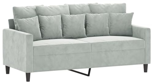 vidaXL Sofa 2-Sitzer, Loungesofa Couch mit Armlehnen Rückenkissen, Wohnzimmersofa Designsofa Metallgestell, Sitzmöbel Zweisitzer, Hellgrau Samt