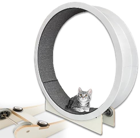 Katzenlaufrad für Hauskatzen, 47 Zoll großes Katzenlaufrad-Trainingsgerät mit Teppichlaufbahn, Klettergerüst für Haustierkatzen