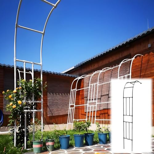 Arche de jardin robuste en demi-arche pour plantes grimpantes et roses – Support extérieur treillis décoratif (blanc, 0,9 m x 2,4 m)