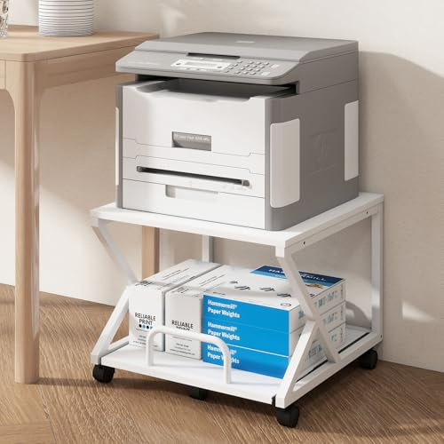 PUNCIA Support Imprimante 2 Niveaux, Tablette Coulissante (Blanc 50x50 cm)