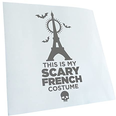 Kiwistar - Autoaufkleber - Grau - 24x10cm - my scary french costume Sticker - Heckscheibe Auto Aufkleber wetterfest für Kfz LKW Mofa Truck - Sticker außen selbstklebend Tuning Zubehör für Fenster