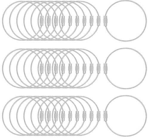 DFTOA-30 Pack 6 inch Extendable Wire Keychain Cable/Luggage Tags/Loops Holder/ID Tag Keeper, Silver Cable Key Ring