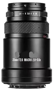 Objectif Plein Format 25 mm f/2.8 Ultra Macro 2x-5x à Manuel, Compatible avec Les appareils Photo Sony E, Canon RF, Nikon Z, Fuji X et Lumix à Monture L.(RF)