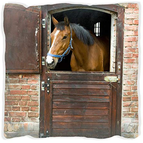 Wallario Dekokissen 40 x 40 cm mit weißer Rückseite, Pferd im Stall, Kuschelkissen mit weicher Plüsch-Oberfläche