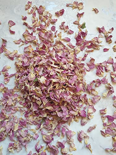 Fun Floral Fusions Confettis biodégradables – 1 litre 10/12 invités – Confettis de mariage – Pétales de fleurs séchées – Confettis véritables pétales – Pétales de rose crème et rose