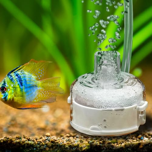 DONGKER Mini Aquarium Filtern, Abnehmbarer Nano Fischschaumfilter mit Physikalisch Schwammfilter und Biochemischen Filtermaterial für 1-5 Gallonen Kleine Aquarien (Luftpumpe Nicht enthalten)