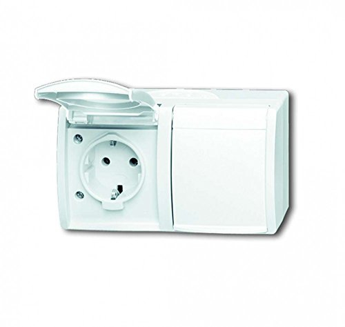 Busch-Jaeger 20/2 EW-54 SCHUKO® Steckdose 2-fach (Thermoplast) Alpinweiß ocean® (IP 44) 2CKA002084A0711
