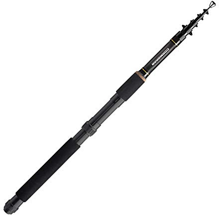 Cormoran Profiline Tele Travel 5tlg. 10-40g 2.10m