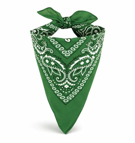 EUROXANTY flaschengrünes Bandana-Tuch | großes Bandana-Kopftuch | Bandana für Männer und Frauen | 100% Baumwolle Bandana mit Paisleymuster