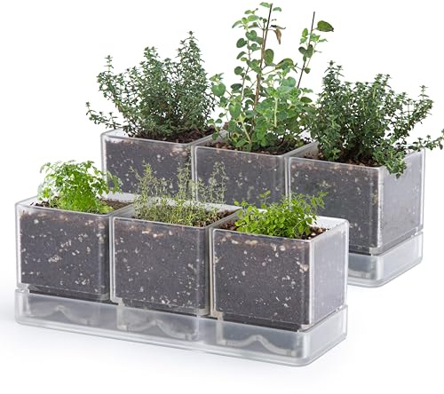 D'vine Dev Kräutergarten-Pflanzgefäß-Set, Acryl-Blumentöpfe mit Drainage und Untersetzer, für Sukkulenten, Kakteen und Gemüse, für Fensterbank, Garten und Balkon, Transparent, 2er-Set, 76-V-D-2