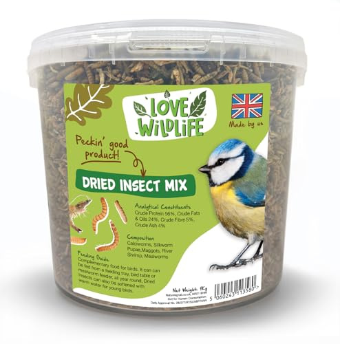 Love Wildlife Dried Insect Mix 1kg Bucket | High Energy Food for Wild Birds, Rich in Protein, Ideal for All Year Feeding, Easy to Feed Reusable Tub