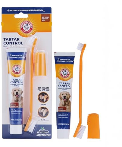 The Company of Animals ARM & HAMMER Paste & Brush Set Clear