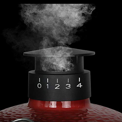 VANKEY Charbon de Bois Kamado en Forme de Parapluie en Aluminium coulé pour Grille Kamado série Classique