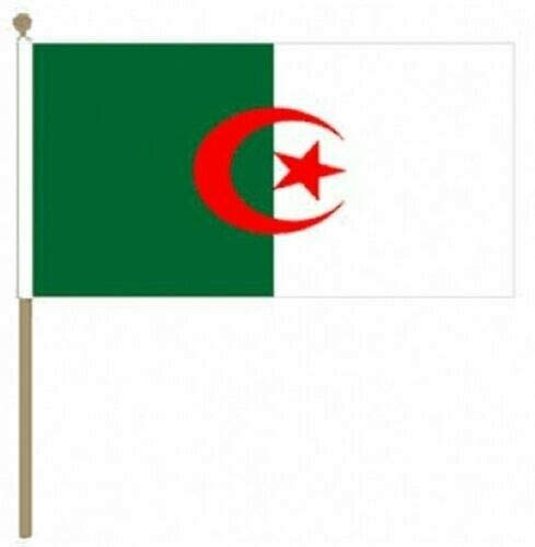 FlagSuperstore© Grand drapeau Algérie à agiter avec mât en bois 45,7 x 30,5 cm – Pays