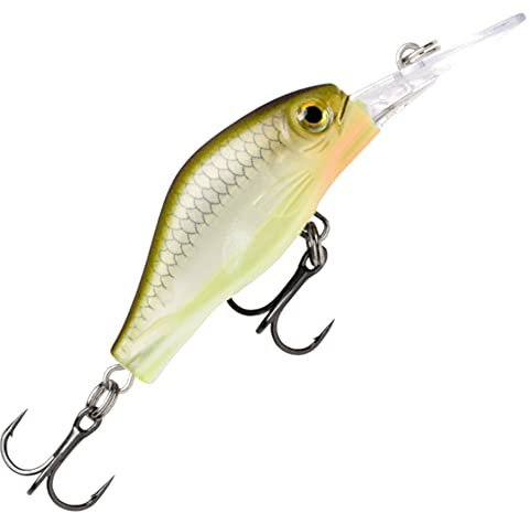 Rapala - Shadow Rap Fat Jack Angelköder - Angelzubehör für Forelle, Barsch und Döbel - Süßwasser Spinnköder - Lauftiefe 3m - Fischköder 4cm, 4g - Hergestellt in Estland