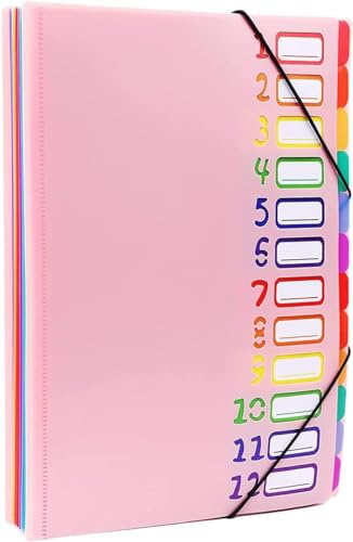 A4 Dokumentenmappe mit 15 Fächern Tragbar Ordnungsmappen Projektmappe, Personalmappe mit Gummizug und Etiketten, PP Büro Ordner Wasserdichtes Ringordner Pultmappe für Schule Büro Kunst Business