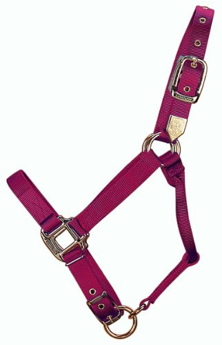Hamilton 1-Inch Nylon Adjustable Horse Halter, Large Size