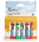Sky Organics - Set balsamo labbra biologico (confezione da 6) - Cera d'api biologica, oli ed estratti botanici - Vitamina E e aromi naturali biologici - Set regalo di bellezza - Cura delle labbra