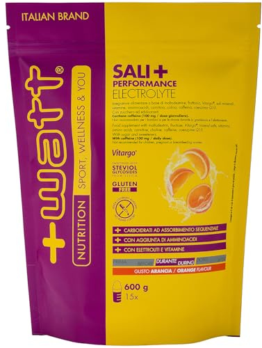 Sali+ Performance Electrolyte Doypack 600g Carboidrati, vitamine, sali minerali, aminoacidi, caffeina, carnitina a sostegno delle performance di resistenza - Gusto Arancia