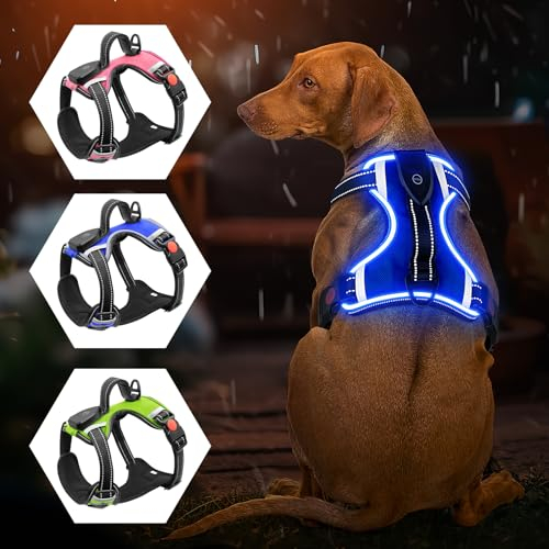 Leuchtendes Hundegeschirr – kein Ziehen, LED-Hundegeschirr, wiederaufladbar, beleuchtetes Hundegeschirr für kleine, mittelgroße und große Hunde (Blau, S)