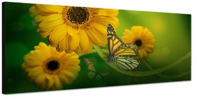 Augenblicke Wandbilder Keilrahmenbild Wandbild 150x50cm Gerbera Blumen Schmetterlinge Nahaufnahme