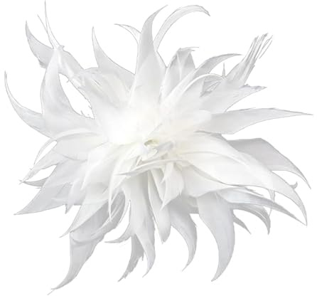 Damen Federbrosche,Flauschige Feder Brosche Straußenfeder Brosche Braut Hochzeit Kopfschmuck Kostüm Deko Federn Haarschmuck Haarklammer Brosche für Frauen Mädchen Halloween Party Dekoration