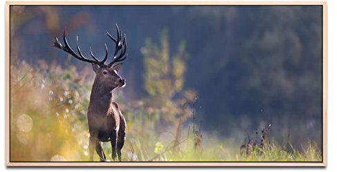 Hirsch in einem Wald ca. 130x70cm Wandbild inklusive Schattenfugenrahmen naturfarbend - Panorama Leinwand Bild XXL Format Wandbilder Wohnzimmer Wohnung Deko Kunstdrucke