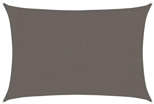 vidaXL Toldo Parasol Lona Protector Solar Sombra de Patio Jardín Terraza Balcón Parque Infantil Exterior de Vela Gris Antracita HDPE 160 g/m² 3x5 m
