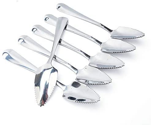 HirrWill Grapefruit-Löffel, 6 Stück, 15,5 cm, Metall, Edelstahl, Grapefruitlöffel