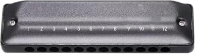 Diatonische Mundharmonika Mundharmonika 12 Löcher Armonica Professionelle Instrumentos Blues Harp Musikinstrumente klassische Mundharmonika(G)