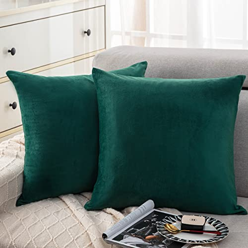 Soifox 2er Set Kissenbezug 40x40 Grün Dunkelgrün Samt Zierkissenbezüge Weich Flauschig Kuschelig Kissenbezüge Dekorative Deko Kissen Sofakissen Lendenkissen Wurfkissenbezug Schlafzimmer Kissenhülle