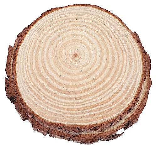 BESPORTBLE 2 Pièces Tremplins De Jardin Circulaire Simple Pavé De Jardin Pour La Décoration Pierre De Jardin Rond Pavé De Jardin Décoratif Enregistrer Pierres De Bordure Petit Dalles En Bois