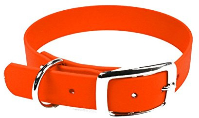 LENNIE BioThane Halsband, Dornschnalle, 25 mm breit, Größe 32-40 cm, Neon-Orange, Aufdruck möglich
