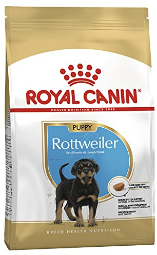 Royal Canin Rottweiler 31 Junior 12 kg, 1er Pack (1 x 12 kg)