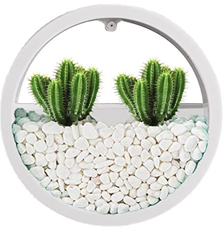 Wandvase, transparente Wandvase, Sukkulenten-Übertopf, Wandvase, Sukkulenten-Übertopf, runder Blumentopf, Vase, Dekoration, Behälterhalter für Sukkulenten, Luftpflanzen