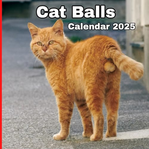Cat Balls Calendar 2025