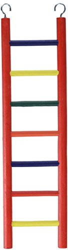 Prevue Pet Products BPV01136 Carpenter Creations Hardwood Bird Ladder with 7 Rungs, 15-Inch, Colors Vary