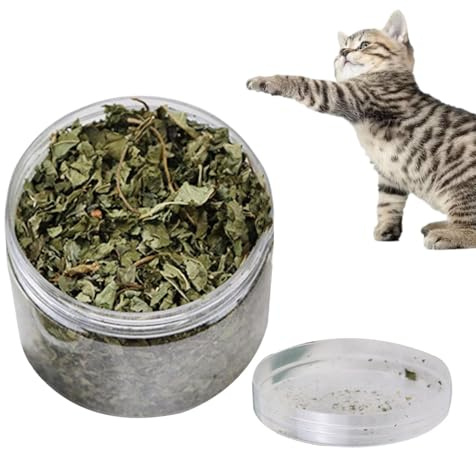 Katzenminze lose - 40g echte natürliche Katzenminze | Echte natürliche Blätter Katzenminze, Gesunde Katzensnacks zur Zahnreinigung, Haarentfernung, Mundgesundheit und Stimmungsregulierung