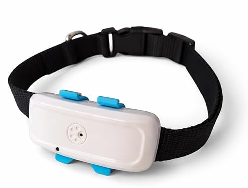TKSTAR TK911 4G LTE - Collare GPS per cani e gatti e animali, con batteria impermeabile da 700 mAh, solo 41 g/tracking dal vivo senza contratto