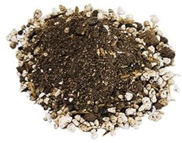 Suelo para Cactus y Suculentas Pack 5 Litros Sustrato con Fertilizante y Magnesio