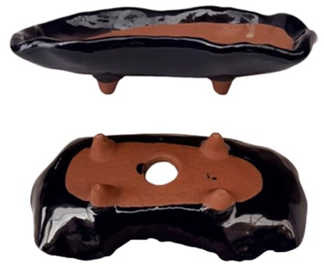 Maceta Ceramica para Kusamonos y Bonsáis | Tiesto Ceramica de HOUTOKU Hecha en Japón | Macetero Ceramica con Agujero de Drenaje | Maceta Cerámica con Base Kusamono/Shitakusa | 16x8x4 cm