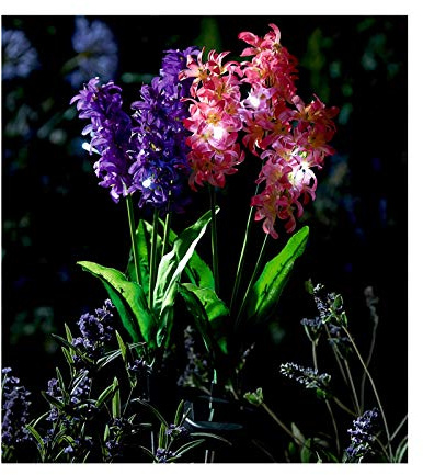 Burwells 2 x Hyacinth Style Solar Stake Lights – Solar Powered Pink & Purple Flower Shaped Lighting Decorations for Patio, Plant Pots, Pathway, Borders – Each Measure H70cm (Including Spikes)