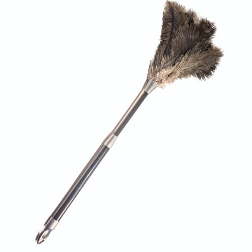 OfficeGear Extendable Ostrich Feather Duster 62–78cm | Genuine South African Feathers – Anti-Static, Flexible Cleaning for Lights, Ceiling Corners, Cupboards, Shelves & Hard-to-Reach Areas